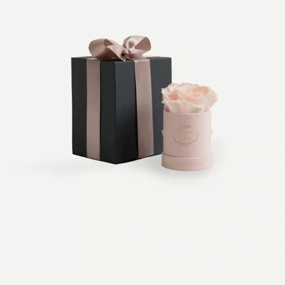 Venus Et Fleur Le Mini Round Blush Suede - Picture 1 of 2